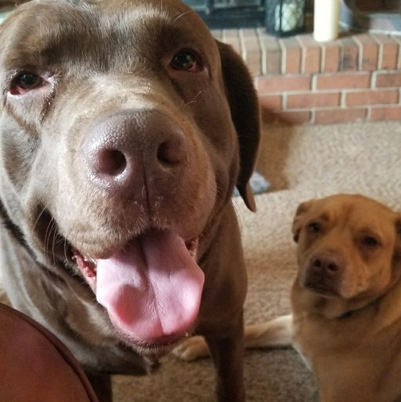 Meet the Posher💜👜💄👑 - Picture 3 of 5